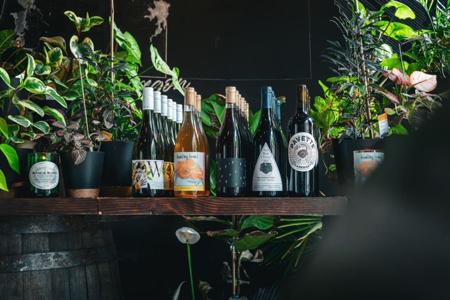 Fermented Fund-Raiser Event — photo 16